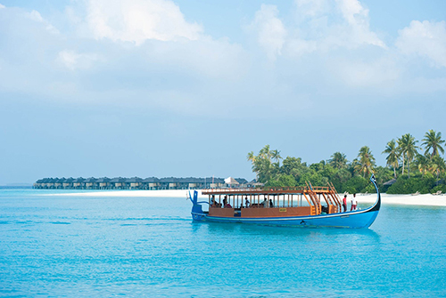 Dhoni Maldivo